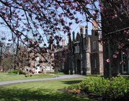 Saint John's University Университет Сент-Джонс