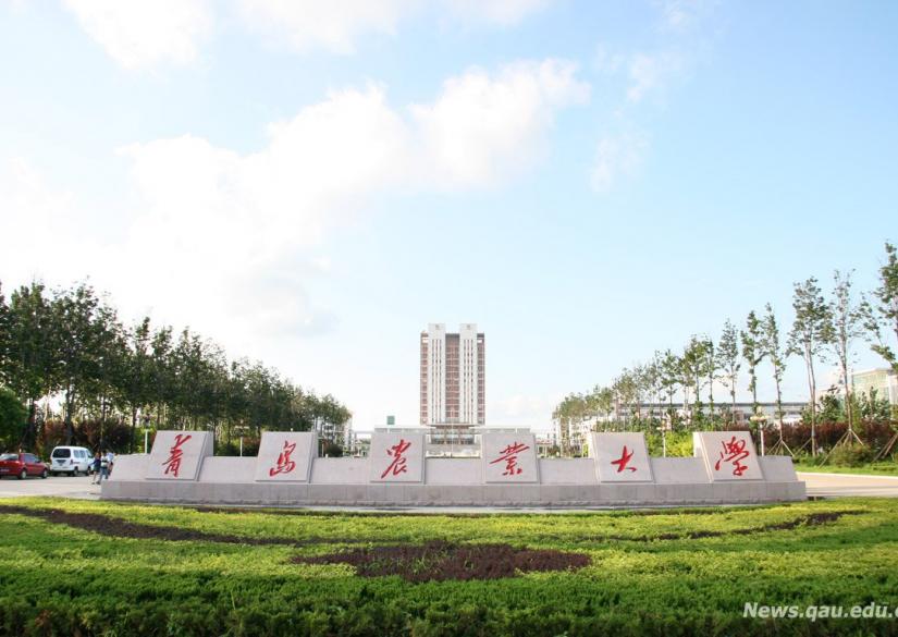 Quingdao Agricultural University Аграрный университет Циндао 0