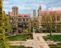 University of Chicago (Чикагский университет, Университет Чикаго)