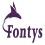 Fontys University of Аpplied Sciences (Университет прикладных наук Фонтис)