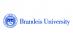 Brandeis University (Брандейский университет)