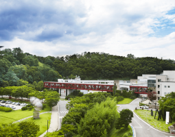Seoul Institute of the Arts, Сеульский институт искусств