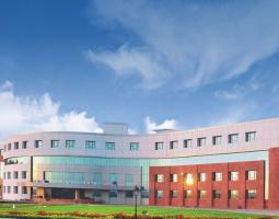 Amity University (Университет Амити)