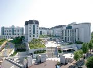 Учебное заведение Летний и зимний языковой лагерь в Сеуле Корея