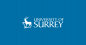 University of Surrey Summer (Летний детский лагерь)