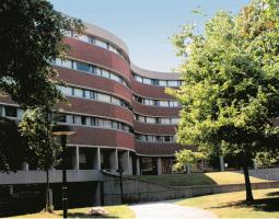 University of Surrey Summer (Летний детский лагерь)