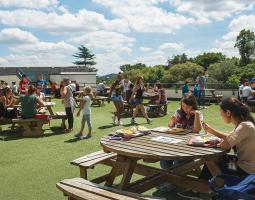 Rice University Summer Camp (Летний лагерь с IT, программированием)