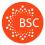 New Hall School BSC Summer Летний лагерь