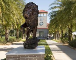 Saint Leo University Tampa Bay Университет Saint Leo University