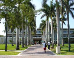 University of Miami IT Camp (Летний лагерь с IT, программированием)