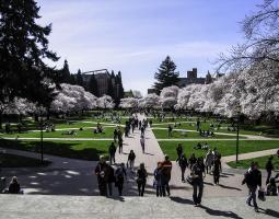 University of Washington Summer (Детский Академ Лагерь)