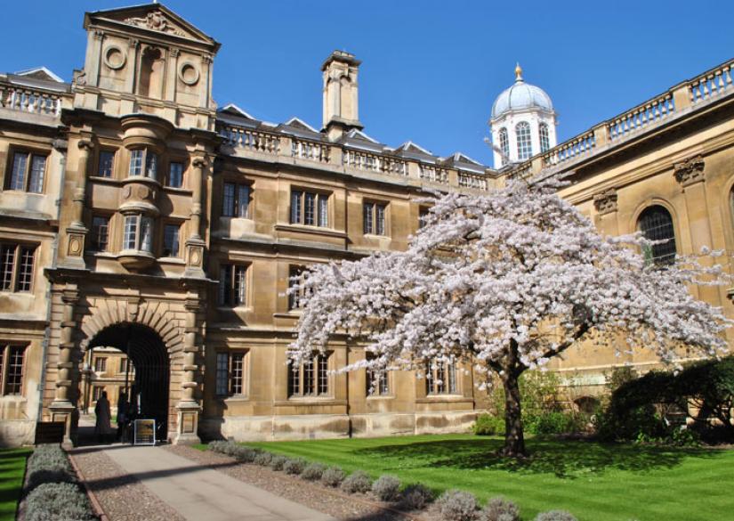 Clare College Cambridge Summer Летний Лагерь Клэр Колледж Кембридж 0