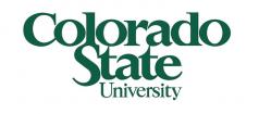 Лого Colorado State University Summer Camp (Летний лагерь с IT, программированием)