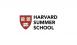 Harvard University Summer Лагерь с IT, программированием Гарвард