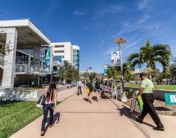 University of South Florida Summer Camp with IT and programming Летний лагерь с IT и программированием
