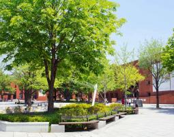 Sungkyunkwan University Summer Camp with IT and programming Летний лагерь с IT и программированием
