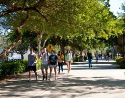 Florida Atlantic University Summer Camp with programming (Лагерь с IT, программированием)