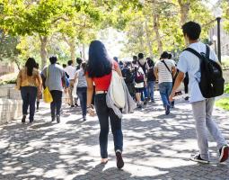 UCLA Summer School Летний Лагерь с IT, программированием UCLA