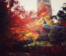 Waseda University, Университет Васэда