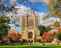 Yale University Summer School Летний лагерь Yale University