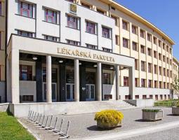 University of Hradec Kralove, Университет Градец-Кралове