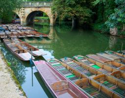 Cambridge Summer School, Летняя школа в Кембридже