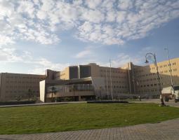 Qassim University, Университет Касим