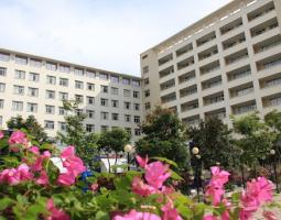Thang Long University, Университет Танг Лонг