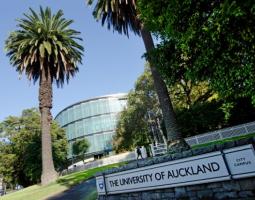 The University of Auckland, Университет Окленда