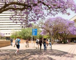 University of Pretoria, Университет Претории