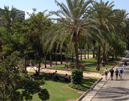 Polytechnic University of Valencia (UPV), Политехнический университет Валенсии