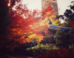 Waseda University, Университет Васэда