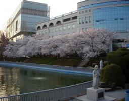 Wonkwang University, Университет Вонкванг