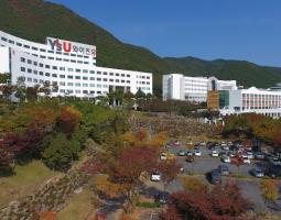 Youngshan University, Университет Юнгсан