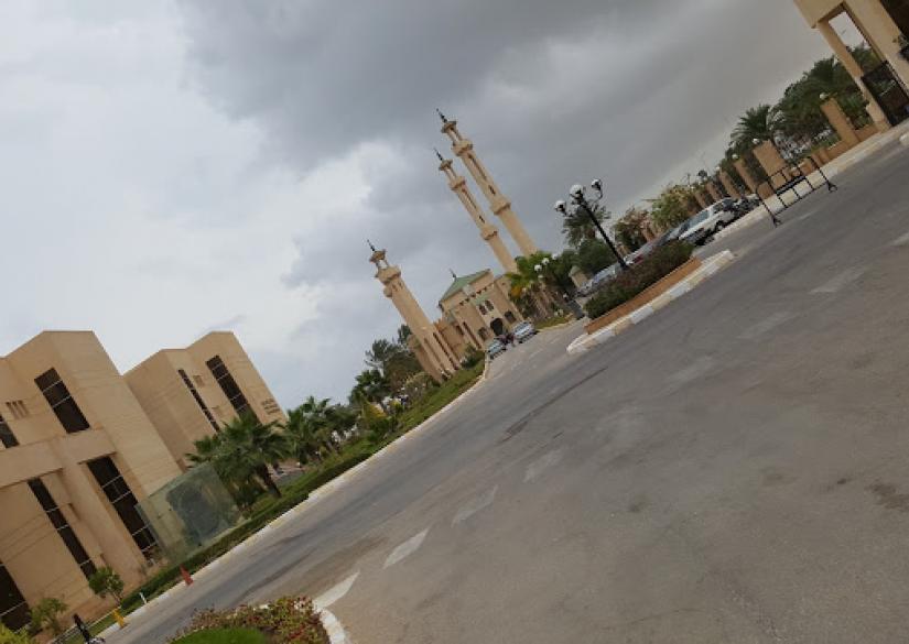 Sinai University, Синайский университет (Каир, Египет)
