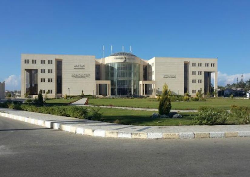 Sinai University, Синайский университет (Каир, Египет)