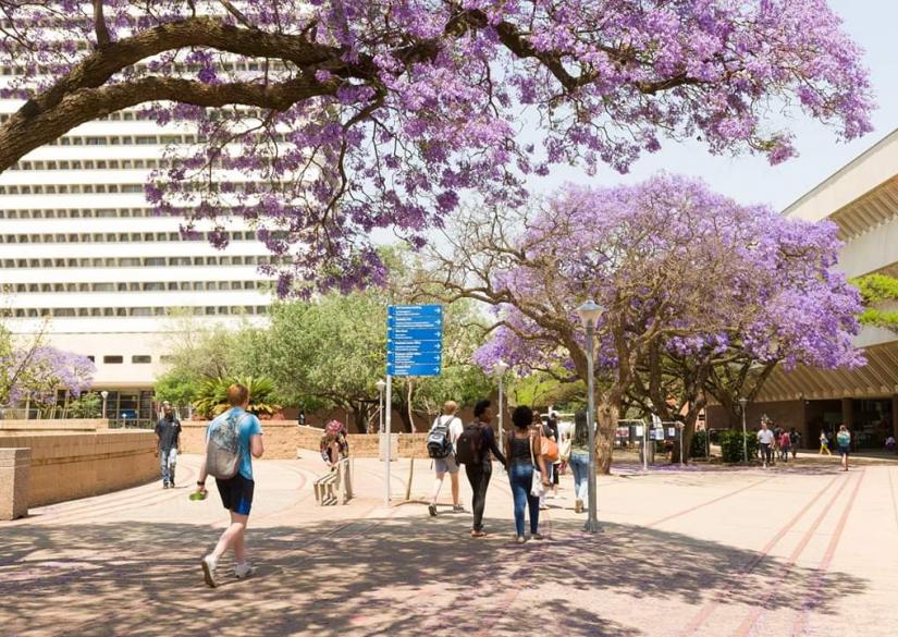 University of Pretoria, Университет Претории 0