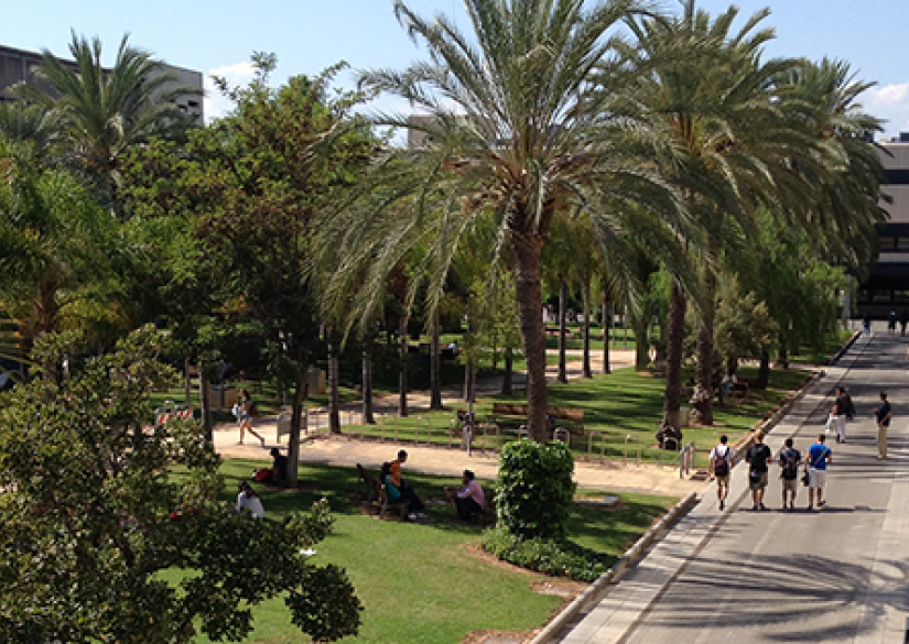 Polytechnic University of Valencia (UPV), Политехнический университет Валенсии 0