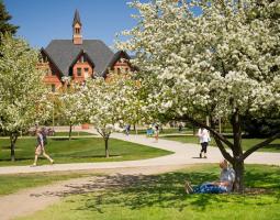 Montana State University (MSU), Университет Монтаны