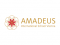 Amadeus International School Vienna Амадеус Вена частная школа