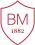 Brillantmont International School Summer Camp Летний лагерь Brillantmont