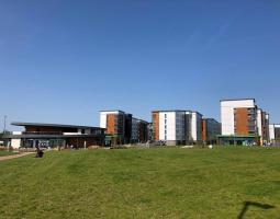 University of Hertfordshire Summer Детский Лагерь Университета Хертфоршира