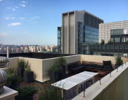LTL Mandarin School Языковая Школа Мандарин