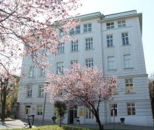 Amadeus International School Vienna Амадеус Вена частная школа