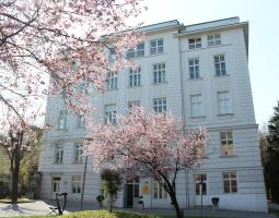 Amadeus International School Vienna Амадеус Вена частная школа