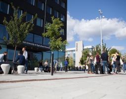 Sveriges lantbruksuniversitet, SLU — Шведский университет аграрных культур