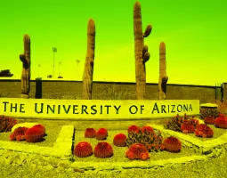 The University of Arizona, Аризонский университет