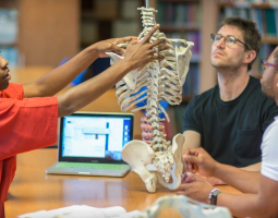 University College of Osteopathy, Университетский колледж Остеопатии