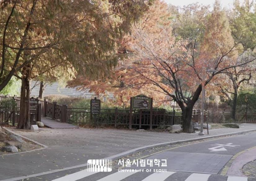 University of Seoul, Сеульский университет (Сеул, Южная Корея)