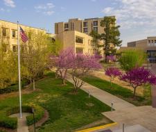 University of Arkansas Fayetteville, Университет Арканзаса в Фейтвилле
